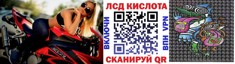 kraken как войти  Пошехонье  Наркотические марки 1500мкг 
